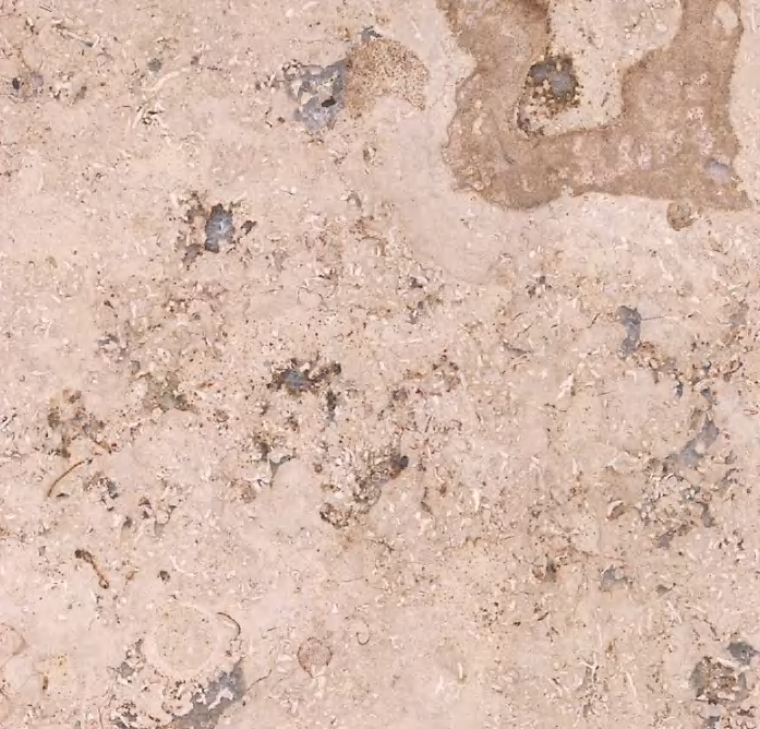 Jura Beige Limestone